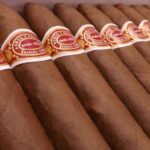 ROMEO Y JULIETA BELICOSOS (25)