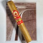 JOYA DE NICARAGUA ANTANO CT CORONA GORDA 20